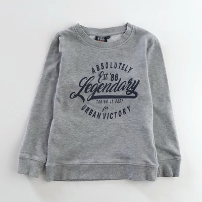 134-es Basic Boys szürke Legendary pamut pulóver kisfiúnak 134-es Basic Boys szürke Legendary pamut pulóver kisfiúnak